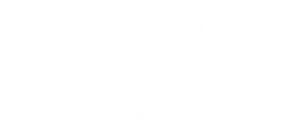 triguna projects logo